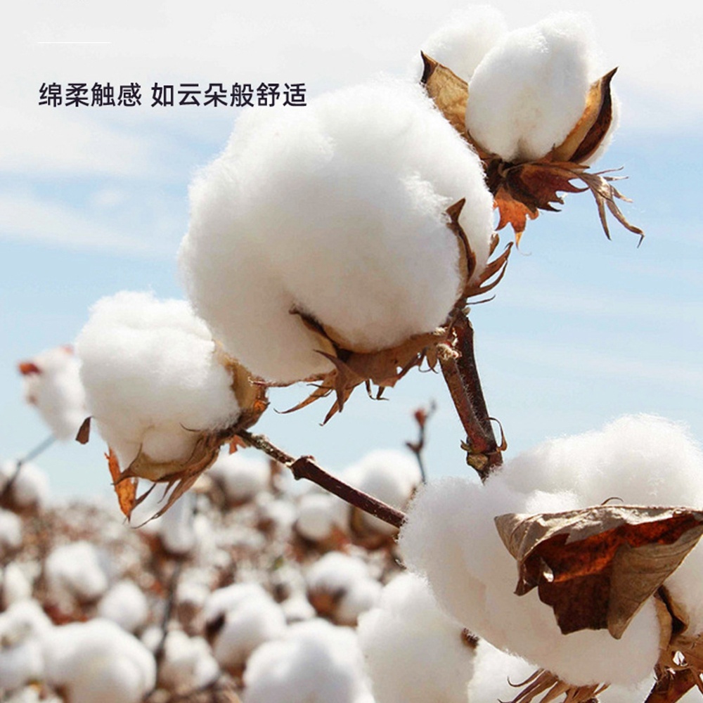 5.0/3.0/2.5mmゴムヘッドオーガニックコットンベー - Cotton Wick Organic のレビューと価格
